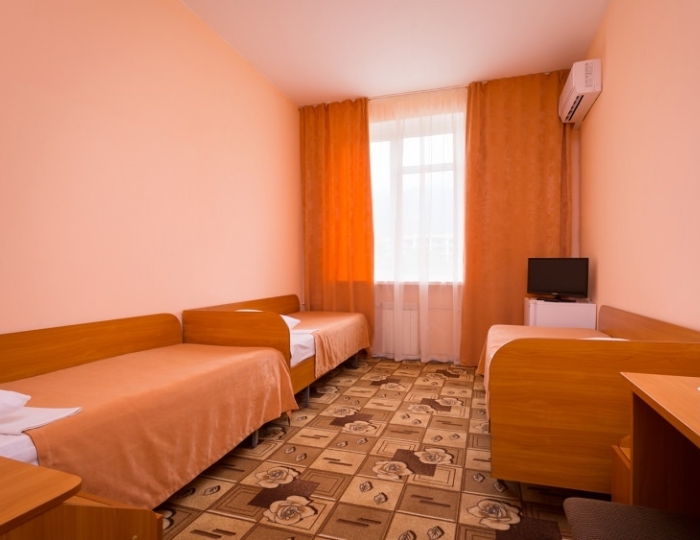 Стандарт трехместный (Корпус 2) - Отель «Orchestra Горизонт»