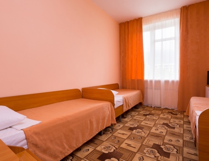 Стандарт трехместный (Корпус 2) - Отель «Orchestra Горизонт»