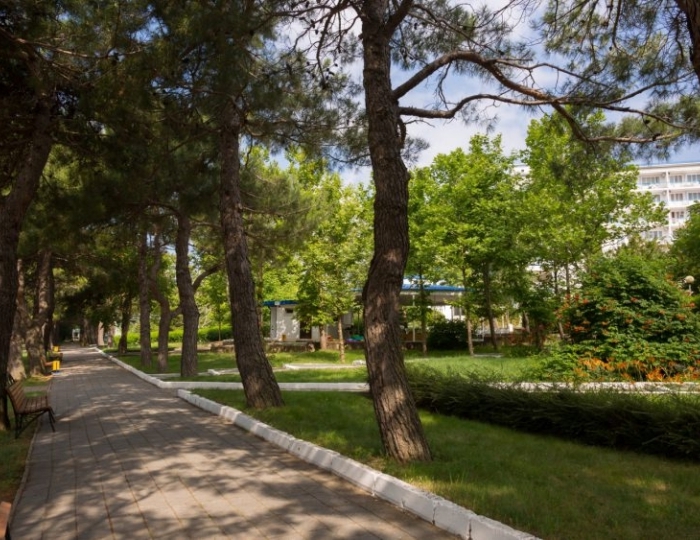 Территория - Отель «Orchestra Горизонт»