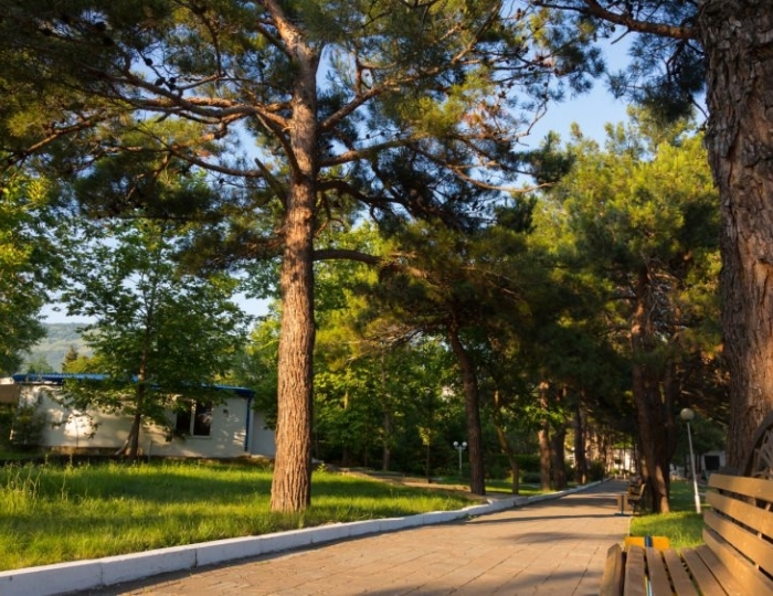 Территория - Отель «Orchestra Горизонт»